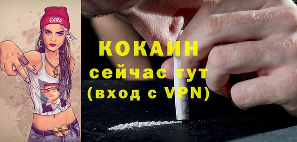 дживик Семилуки