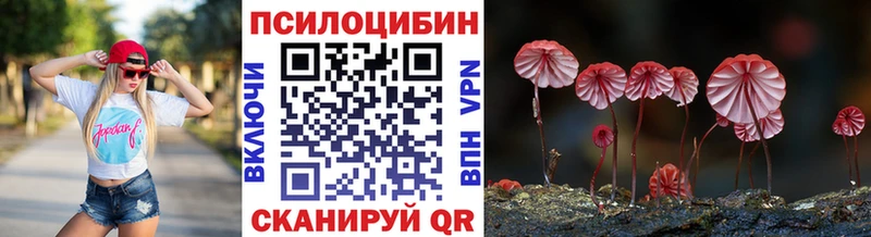 Псилоцибиновые грибы прущие грибы Сальск