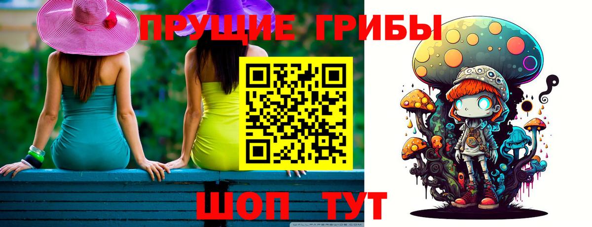 Псилоцибиновые грибы GOLDEN TEACHER Сальск