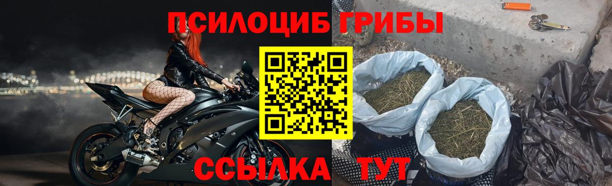 Псилоцибиновые грибы MAGIC MUSHROOMS  Вход с VPN  Сальск 